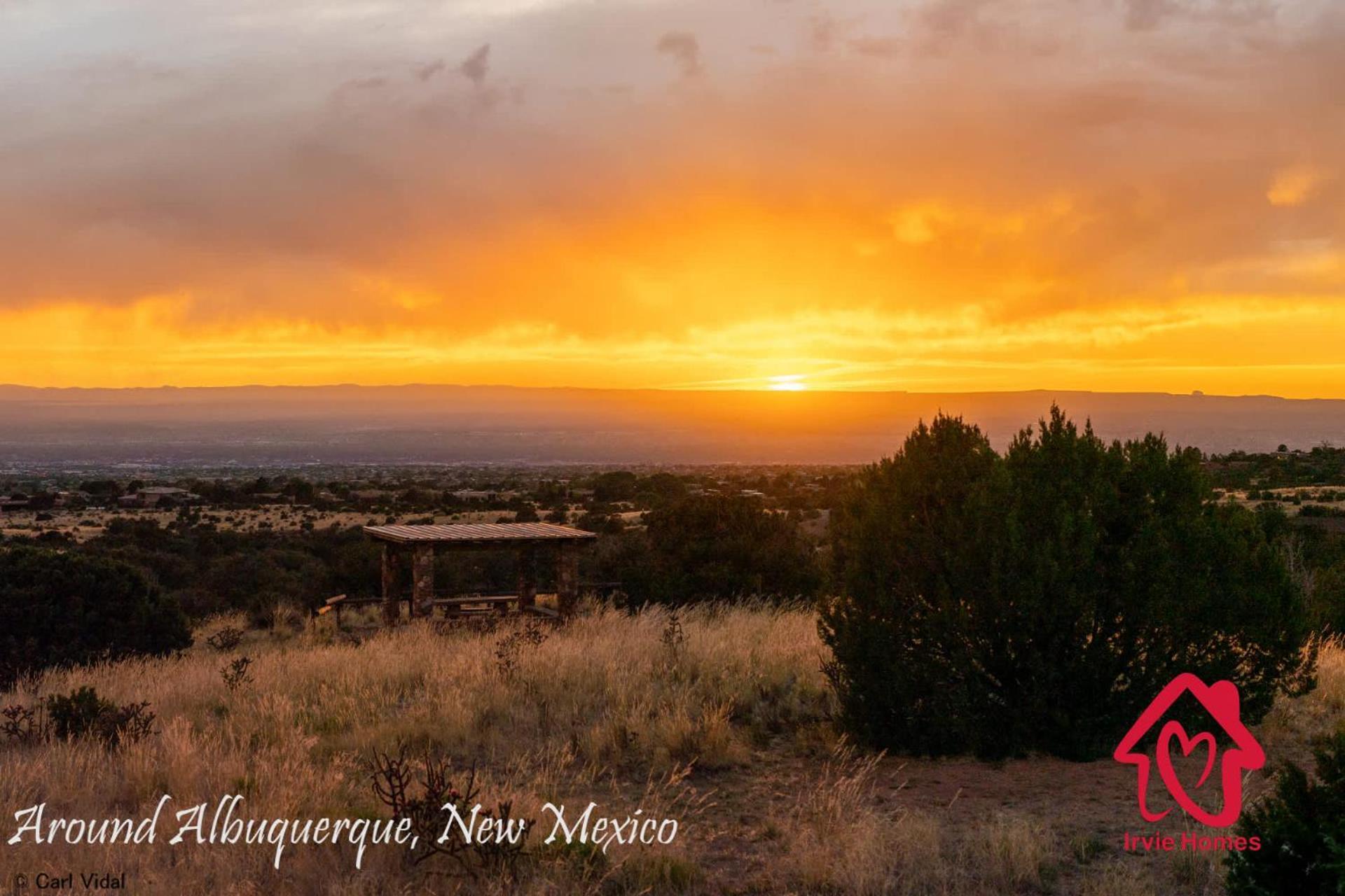 Charm Of The Grande Oasis - An Irvie Home Albuquerque Exteriér fotografie